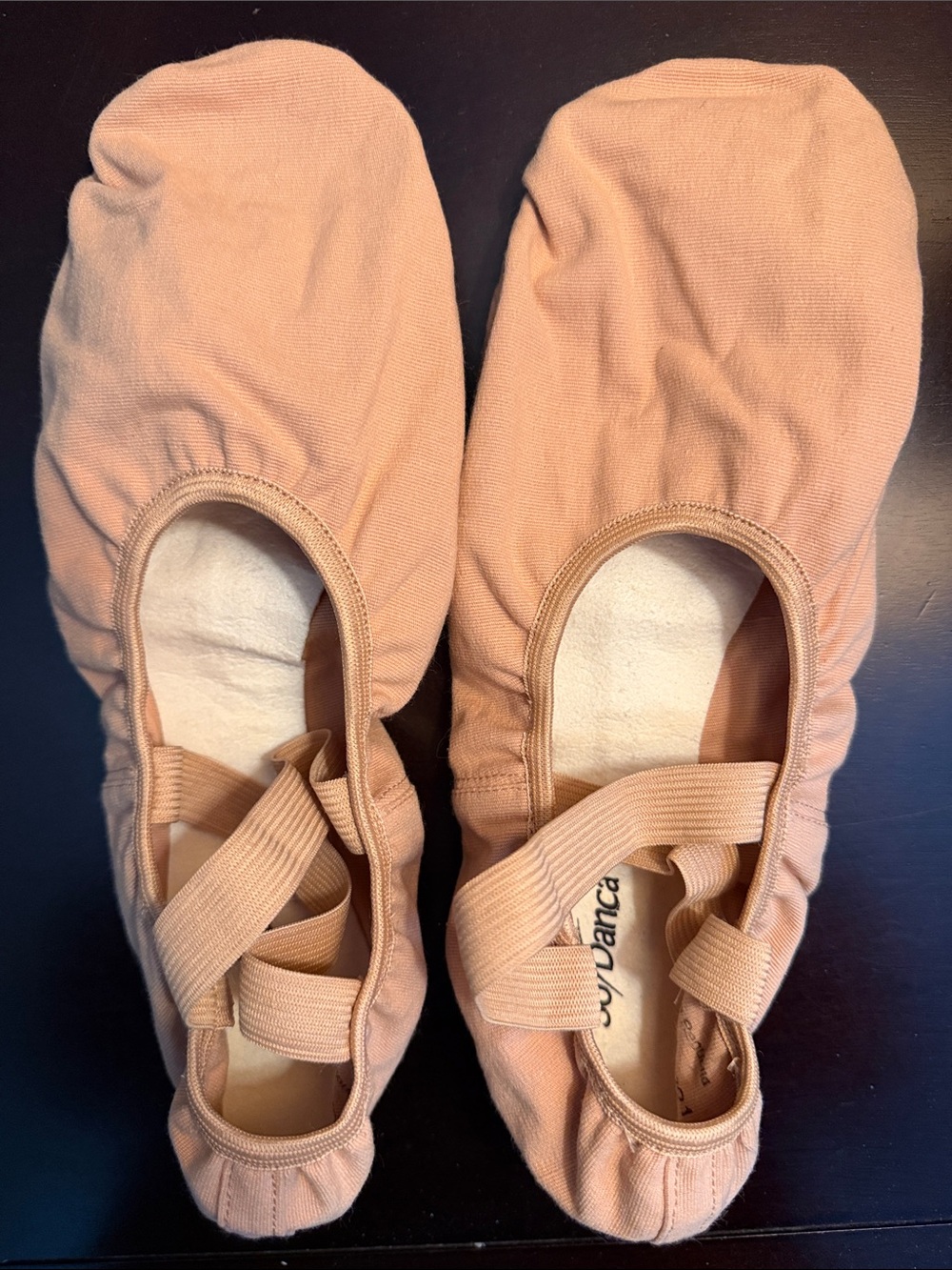 Girls Ballet Slippers - Light Blush Pink Canvas Dance Shoes